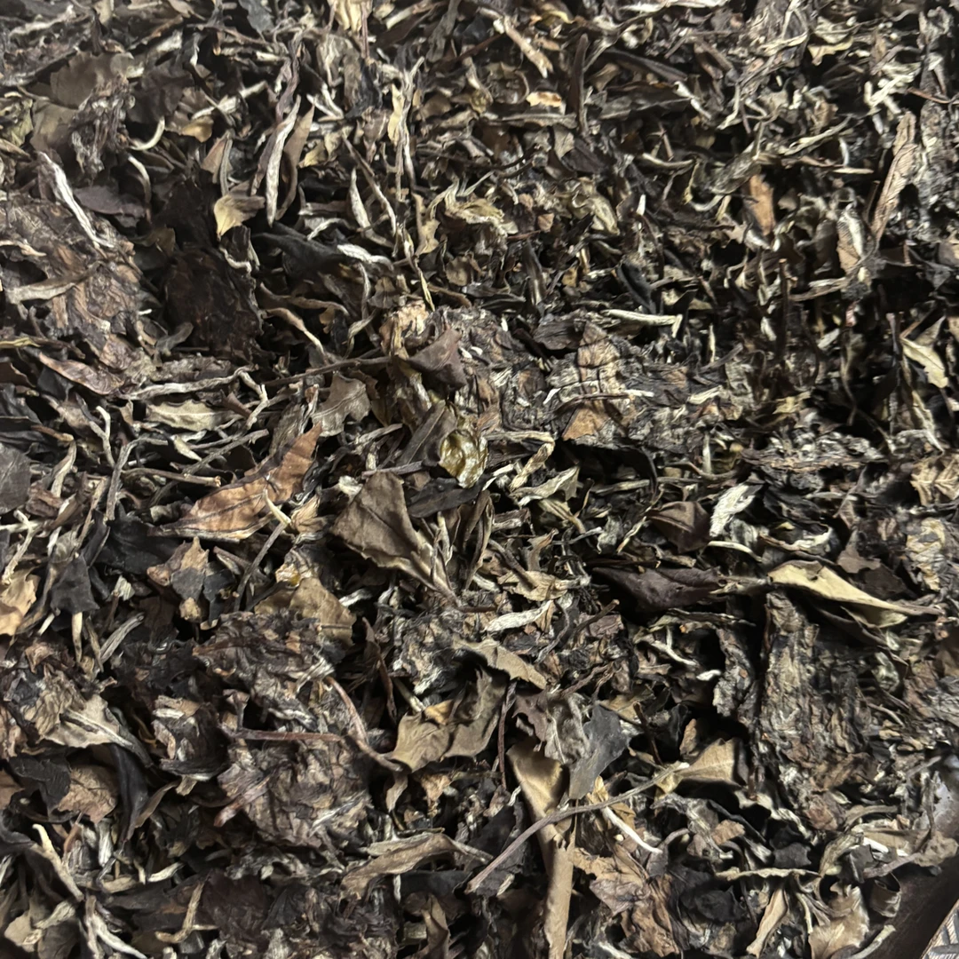 福利款·福鼎白茶