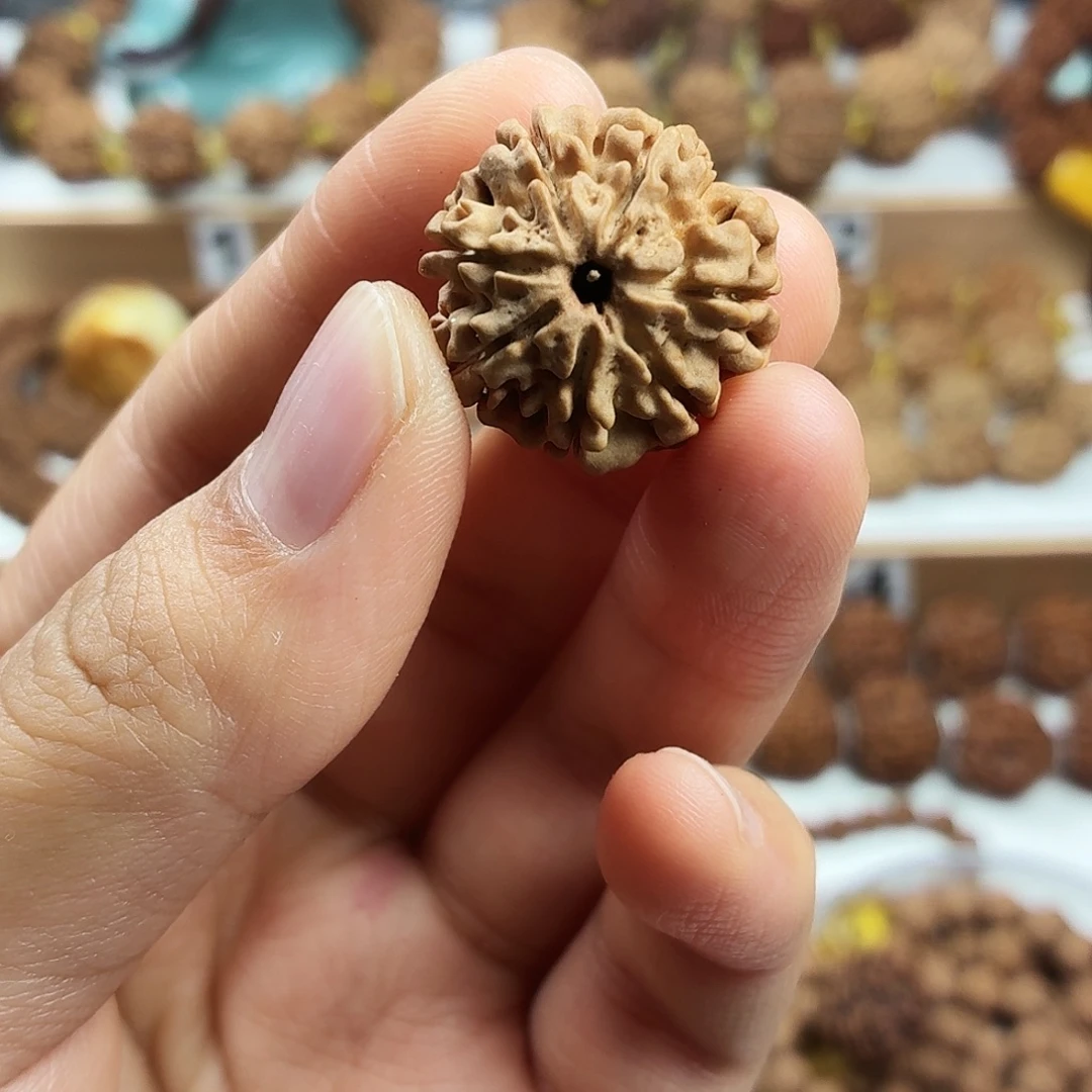 金刚菩提手串稀有精品7瓣天然飞碟磨盘铁籽