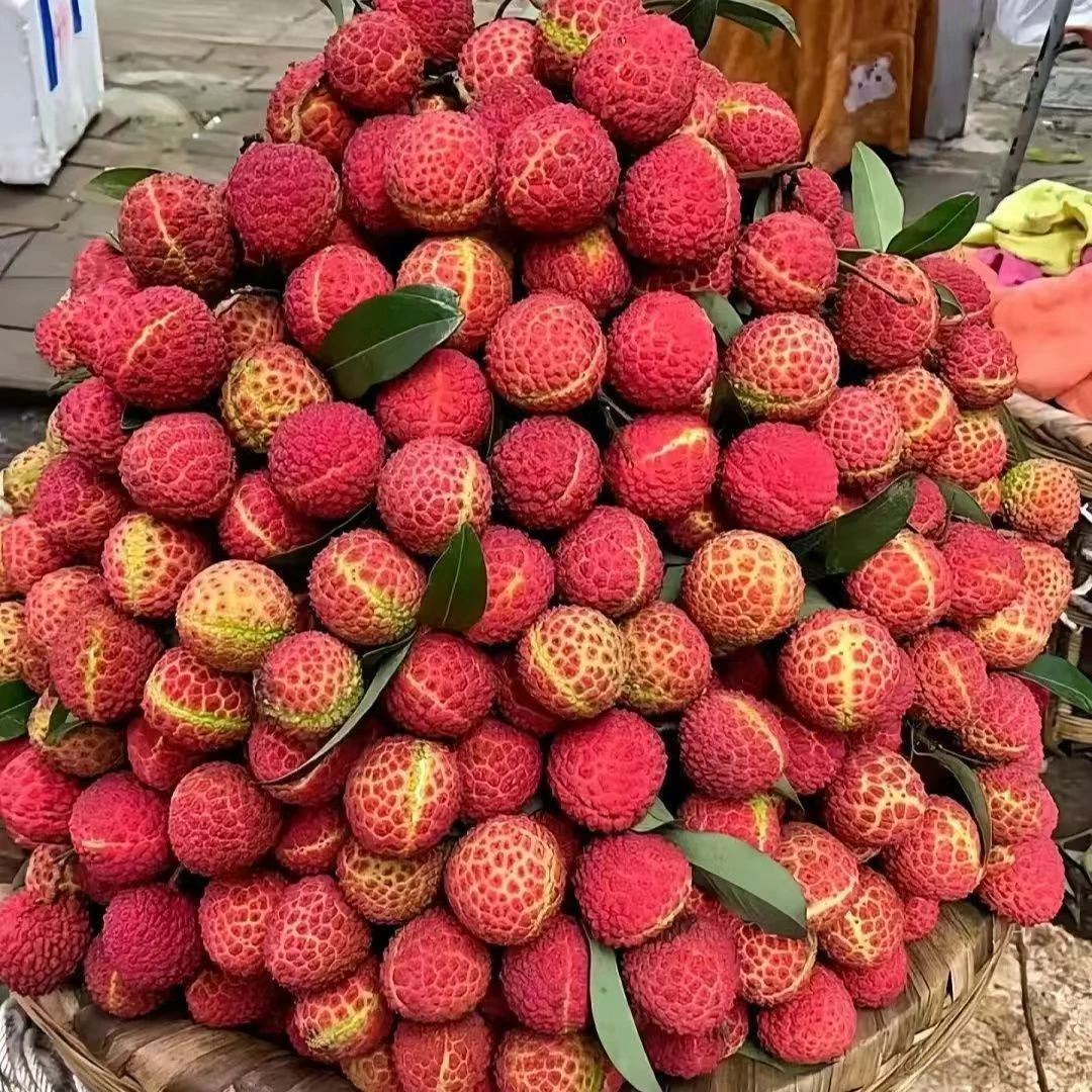 【鸡嘴荔枝王后】007 正宗荔枝新鲜清甜肉厚核小多汁