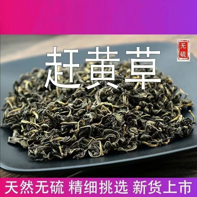 四川古蔺头茬赶黄草含槲皮素特产泡水泡茶100克-500克