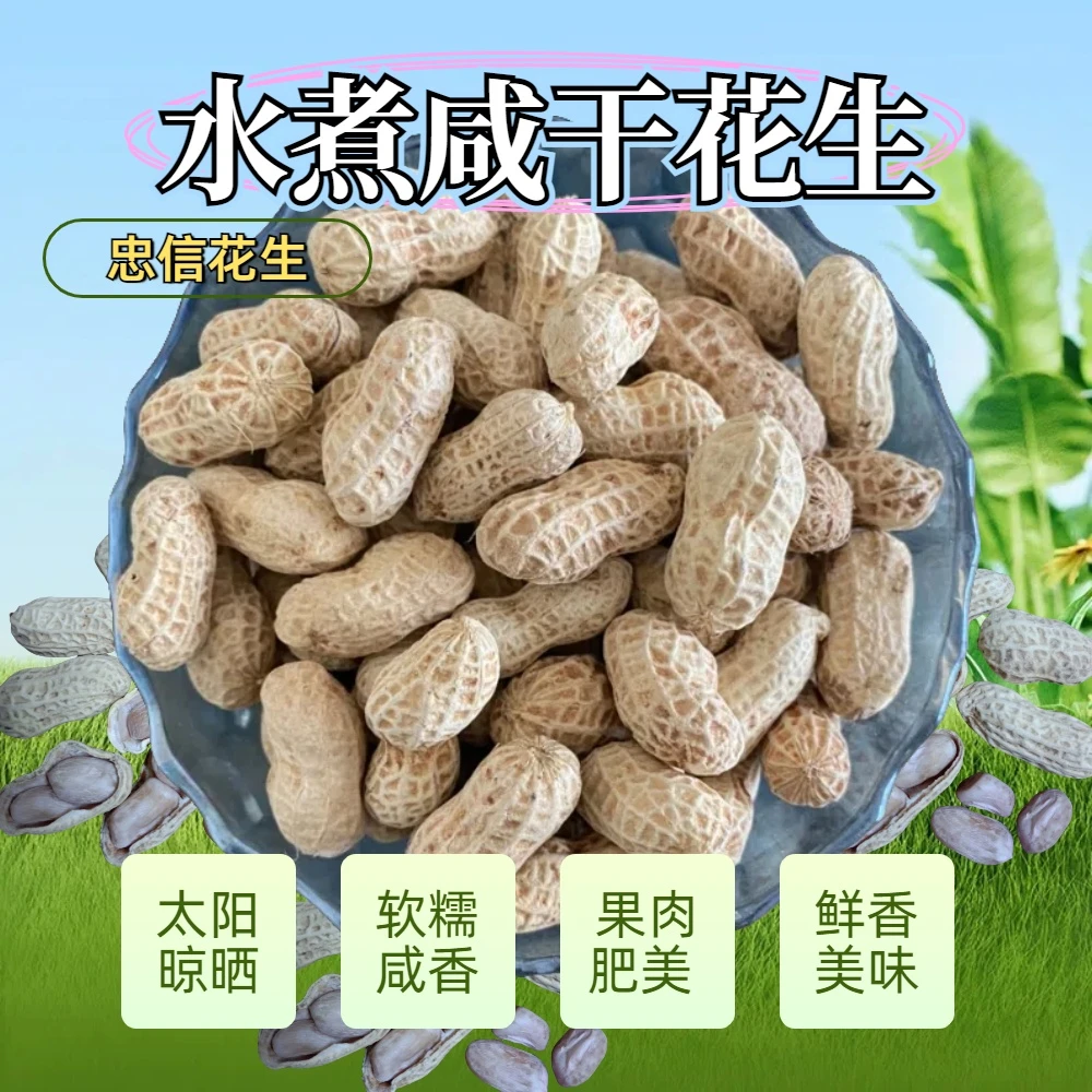 新鲜白晒花生忠信花生新鲜水煮花生原味好吃即食花生零食日晒咸干