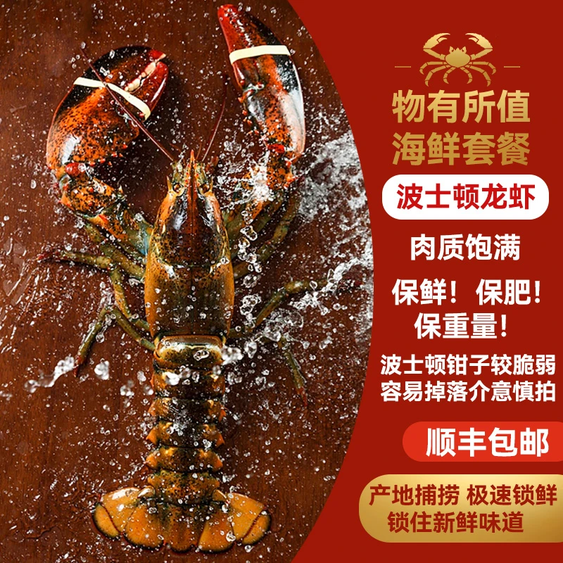 【波士顿龙虾】加拿大新鲜活冻波士顿龙虾饱满度98%以上保鲜保肥
