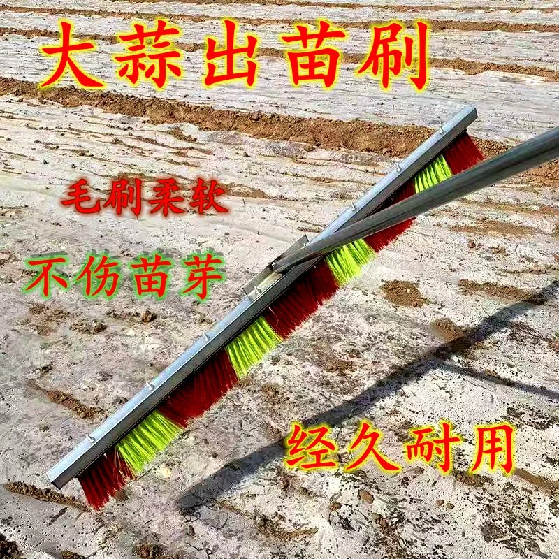 加乘大蒜出苗神器破地膜人工出芽破膜工具农用出苗刷