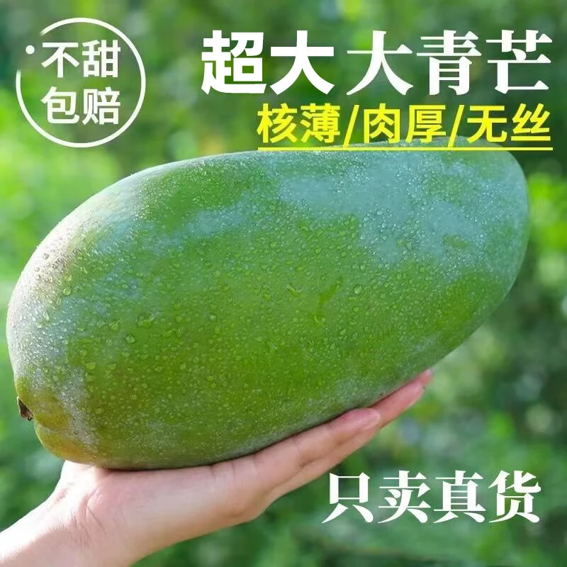 云南青芒特大青皮大青芒果新鲜水果当季孕妇水果新鲜采摘