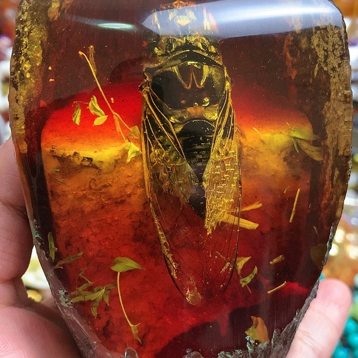 大叶紫檀（黑酸枝木类）琉**子