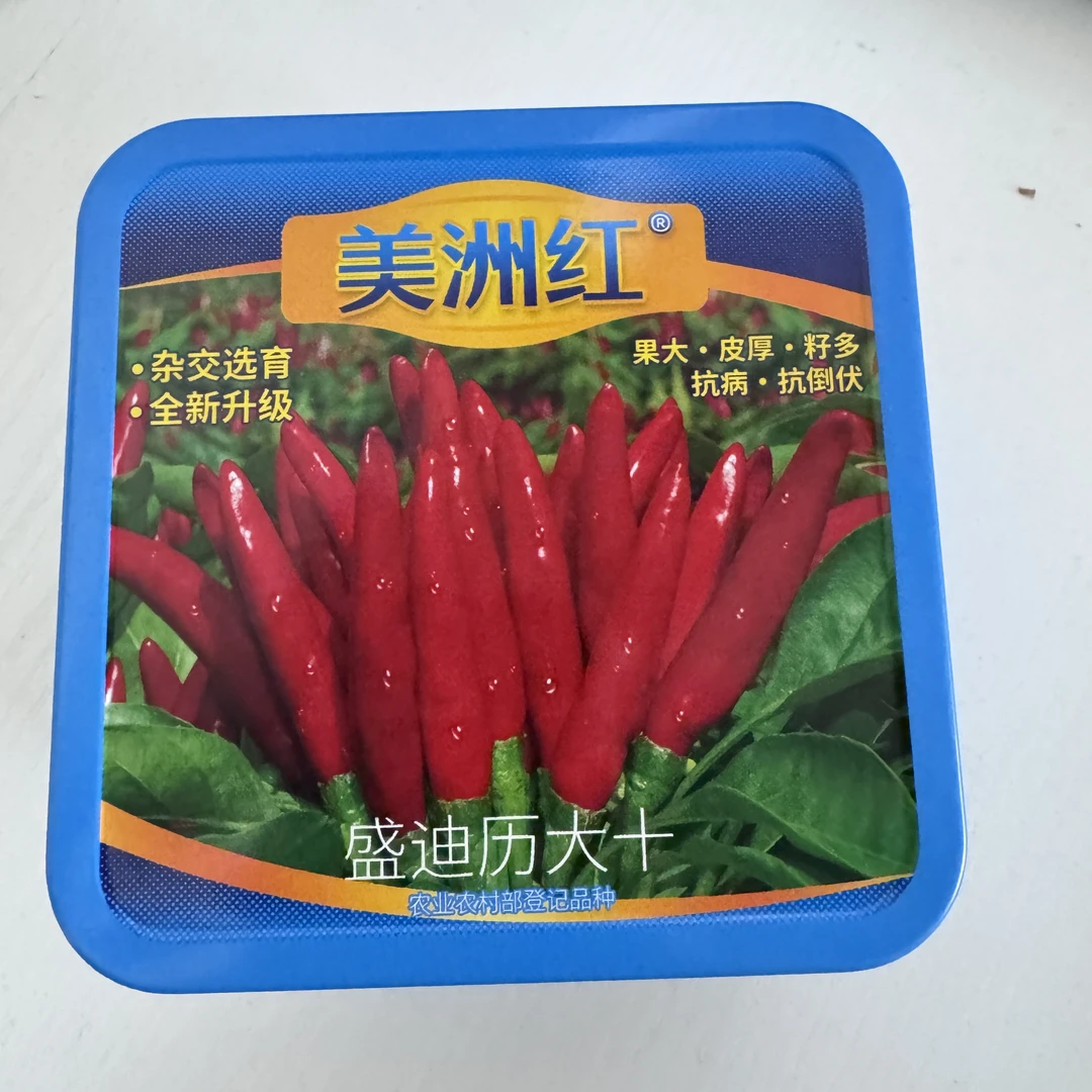 【美洲红 】盛迪历大十