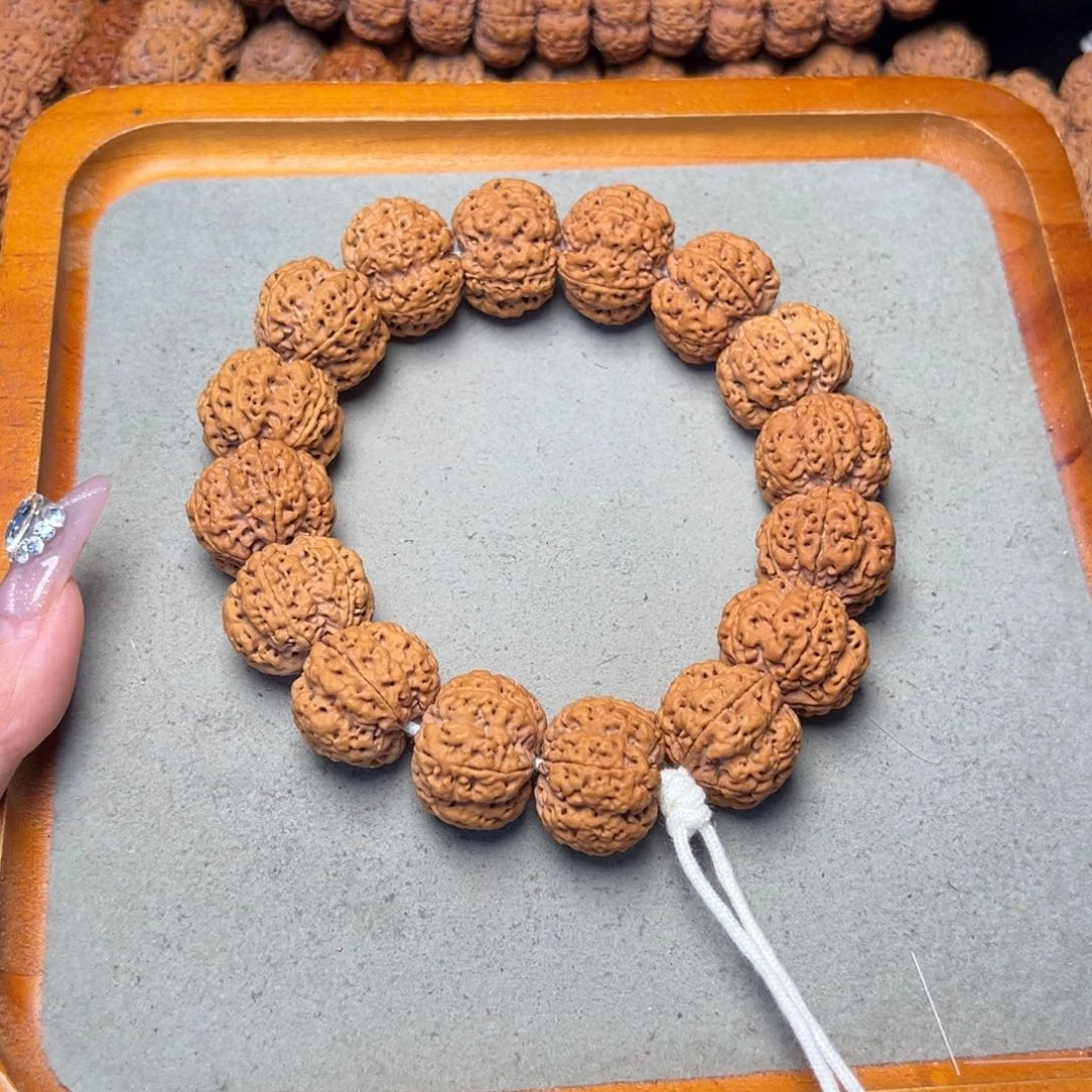 菩提16号金刚菩提梅花豆腐块24