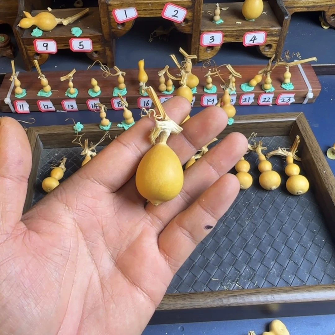 T*e我是一只小小鸟地域鬼的人生