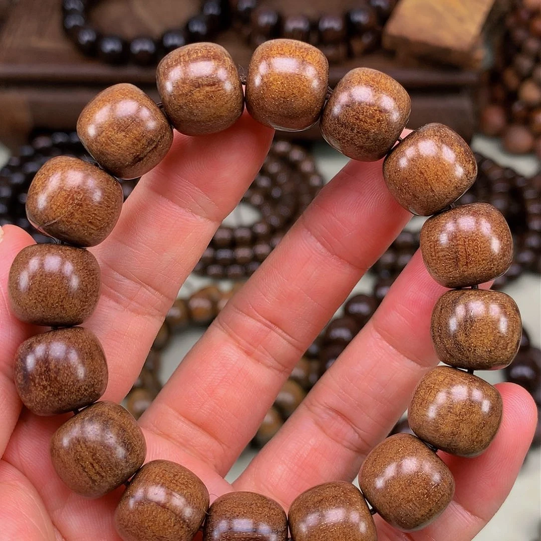 【闪购商品】贡木其他巴贡黄金龙13*14