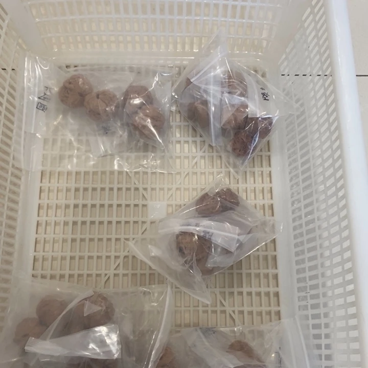 吊坠文玩核桃一单3对破烂b