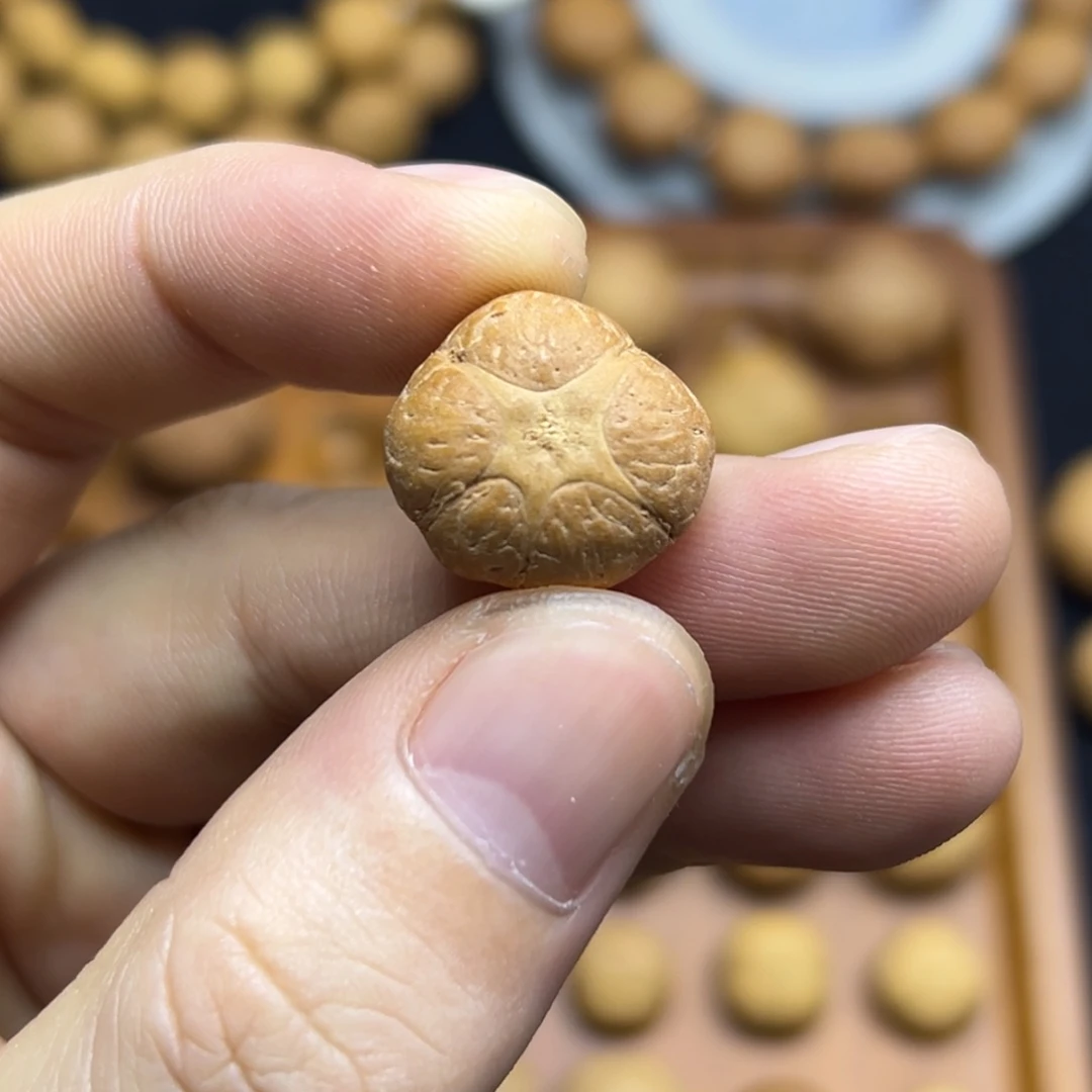 凤眼菩提手串18.7五星上将