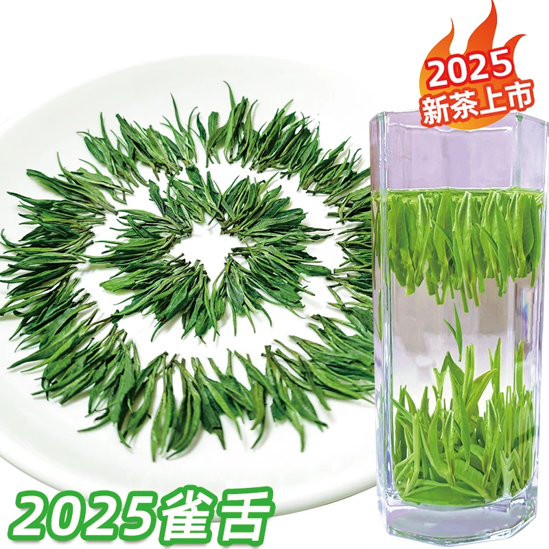 2025新茶叶特级雀舌绿茶明前贵州湄潭嫩芽翠芽毛尖浓香型一芽一叶