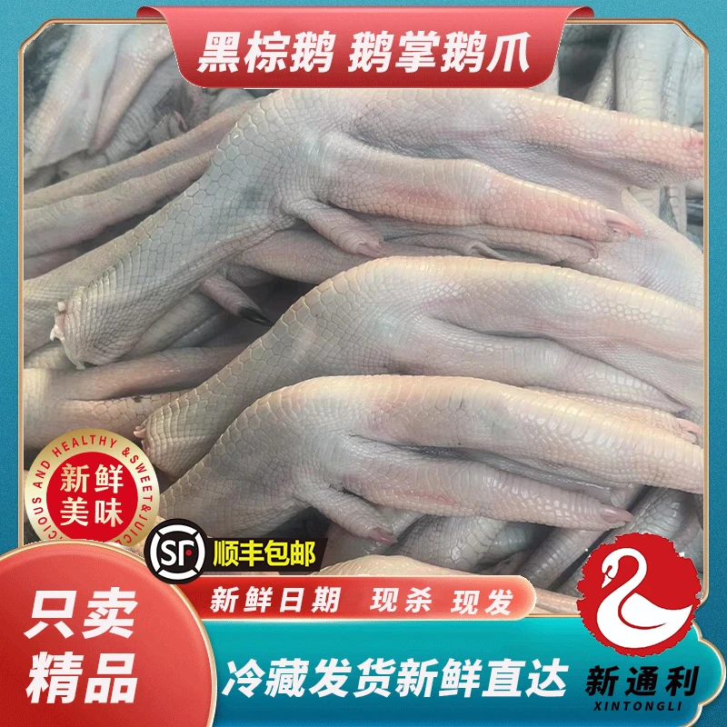 清远黑棕鹅掌翅新鲜鹅脚鹅翅真空包装发顺丰2斤3斤5斤10斤生鲜