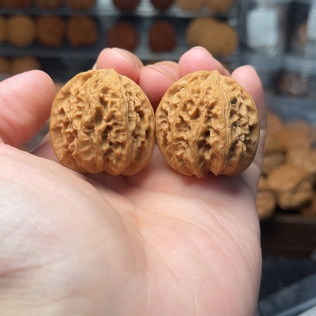 1文玩核桃龙珠33-205