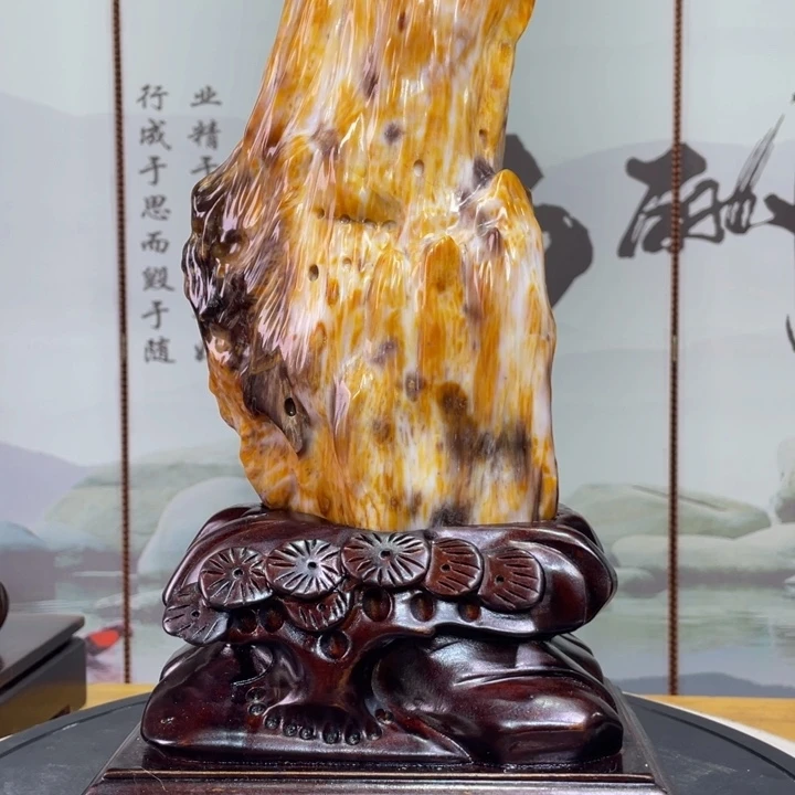 硅化玉未镶嵌珠宝奇石高40