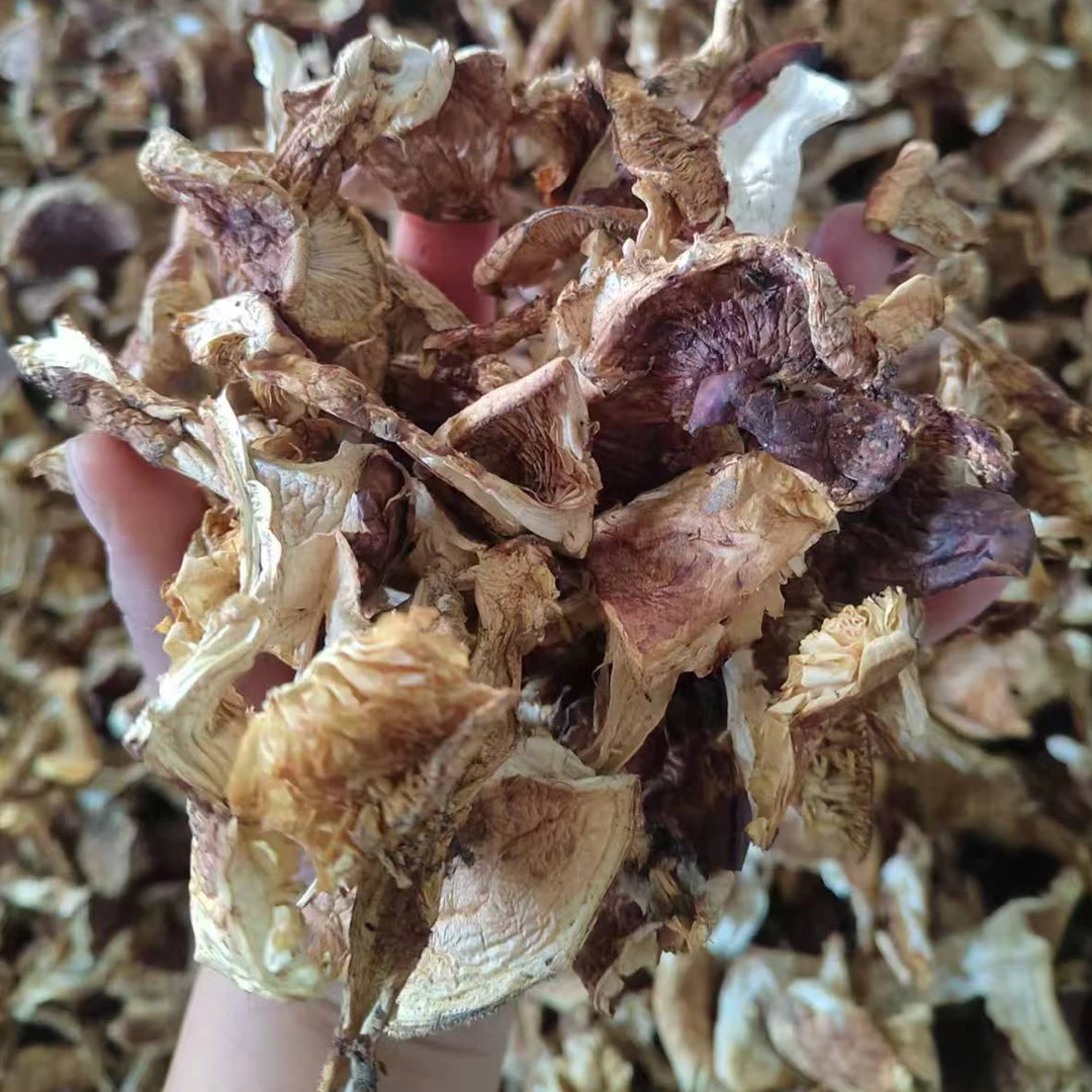 黑龙江头茬松茸干 伏松茸干 自然晾晒200g