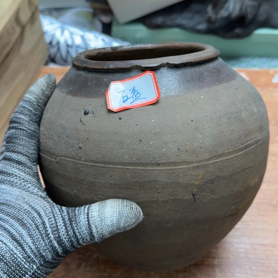 茶盏三十三日生在广东