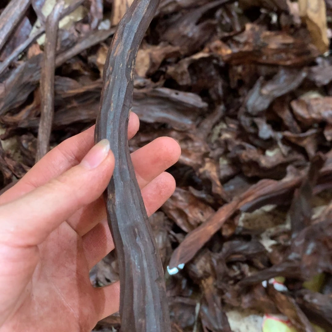 黄花梨/降香黄檀一**己