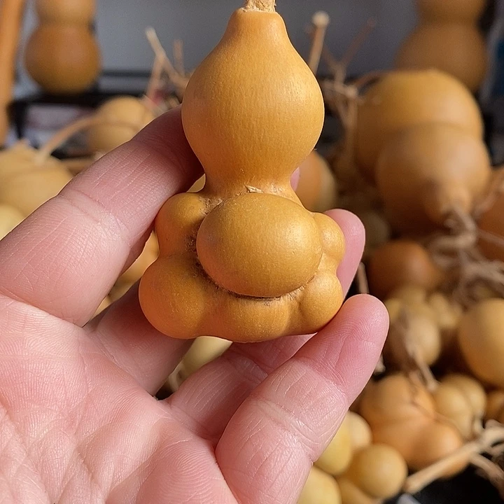 哇**.葫芦的颜色是蓝色还是