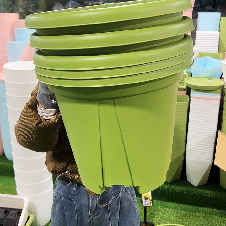 微瑕青山口40高34果绿色5个无托