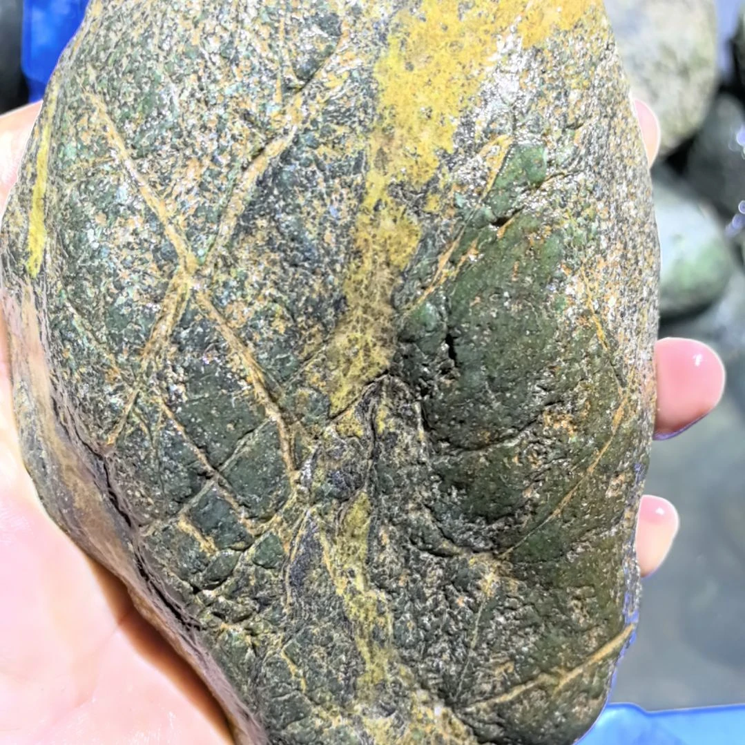 用***9藏玉药王石原石一个