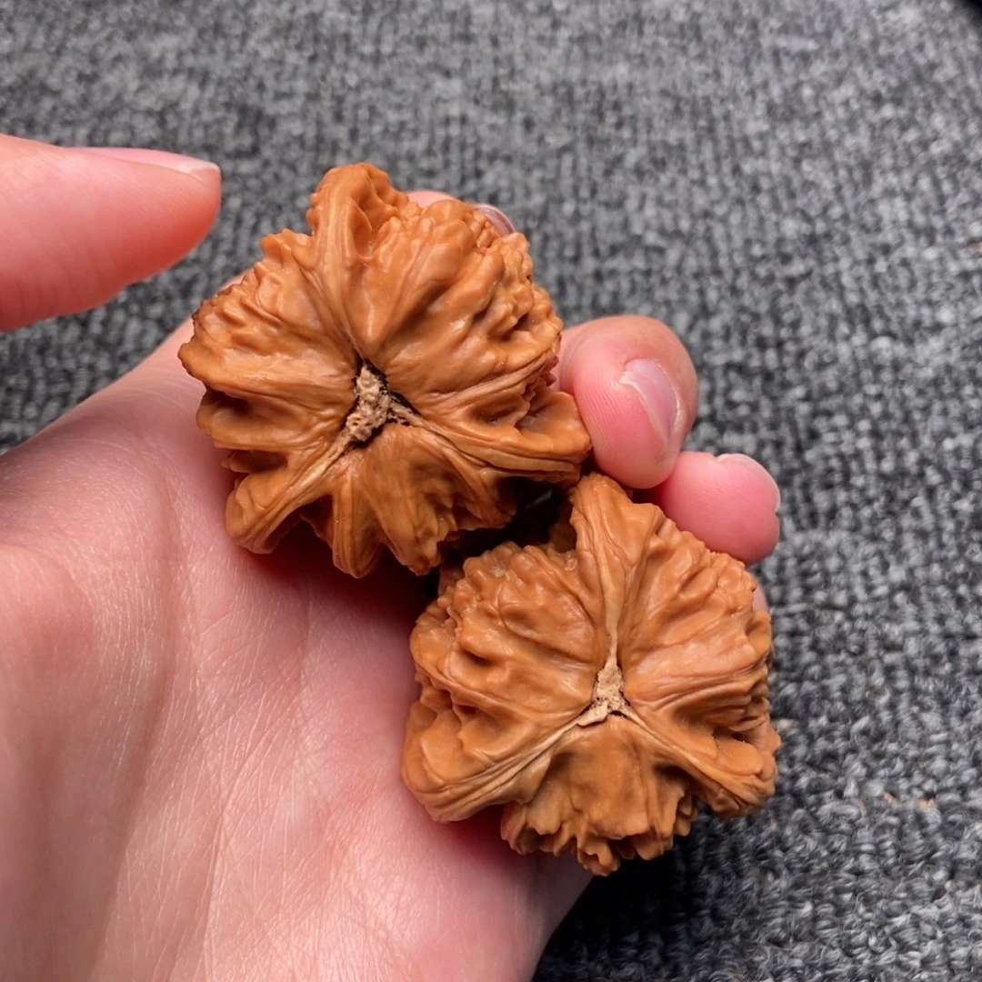 我***锤木质类白狮子正奔