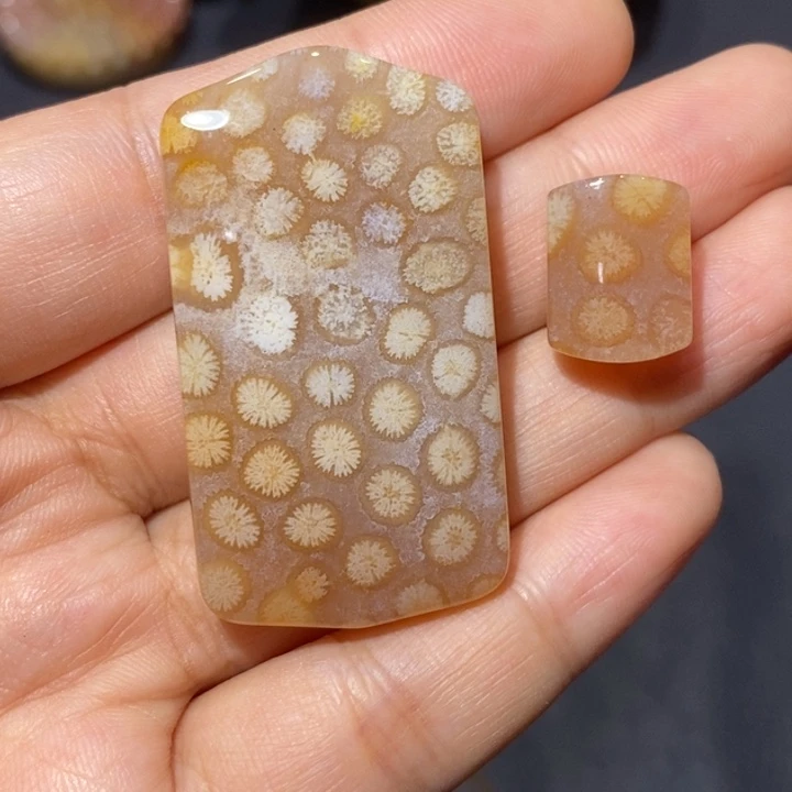 【闪购商品】未镶嵌珊瑚玉硅化玉