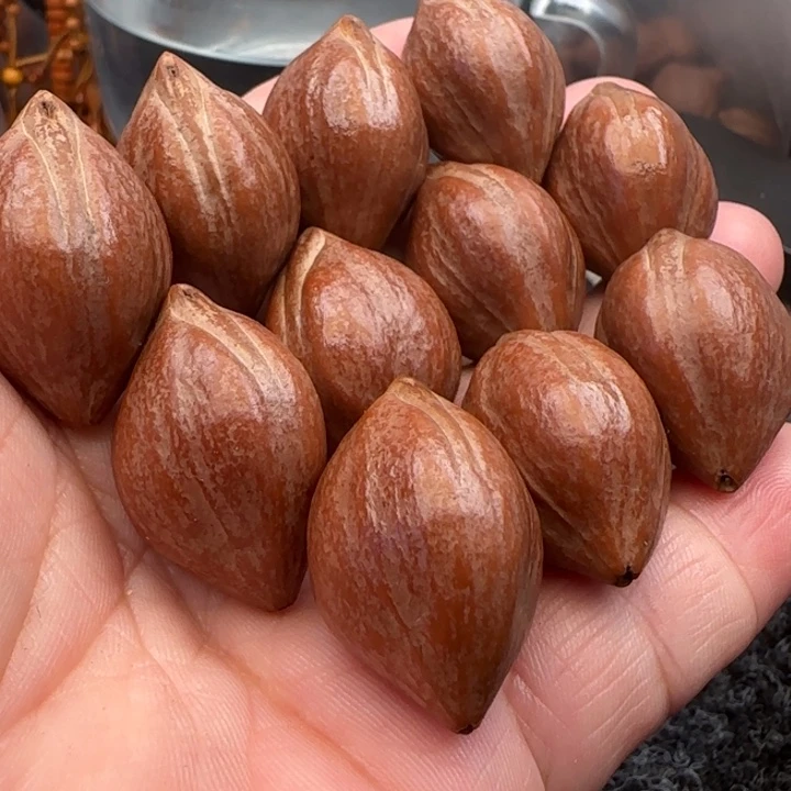 橄榄核手串橄榄核原皮铁盒三面佛