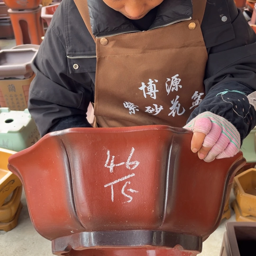 花盆紫砂盆景艺术