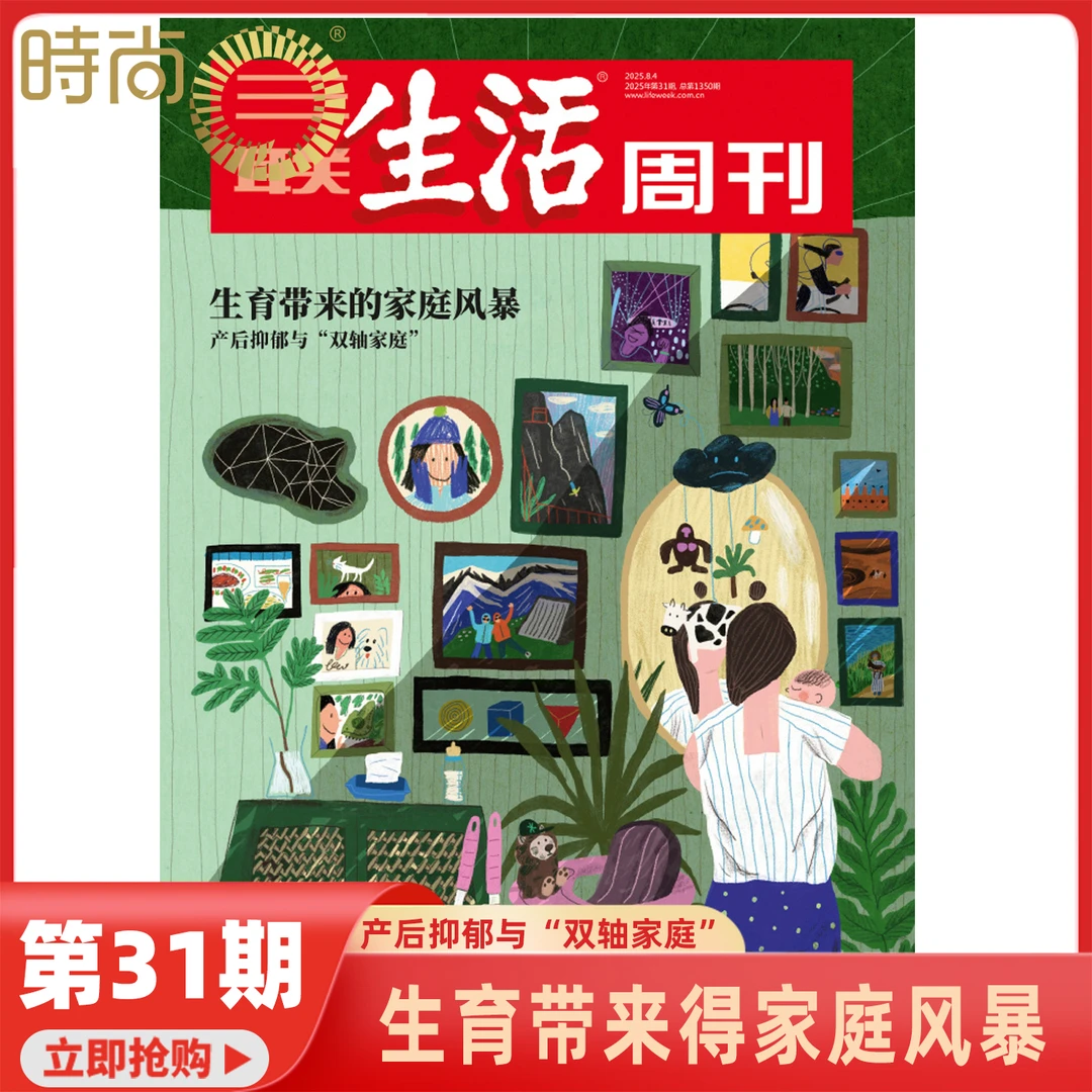 三联生活周刊 2025年新刊生活时事新闻生活休闲期刊杂志书籍推荐