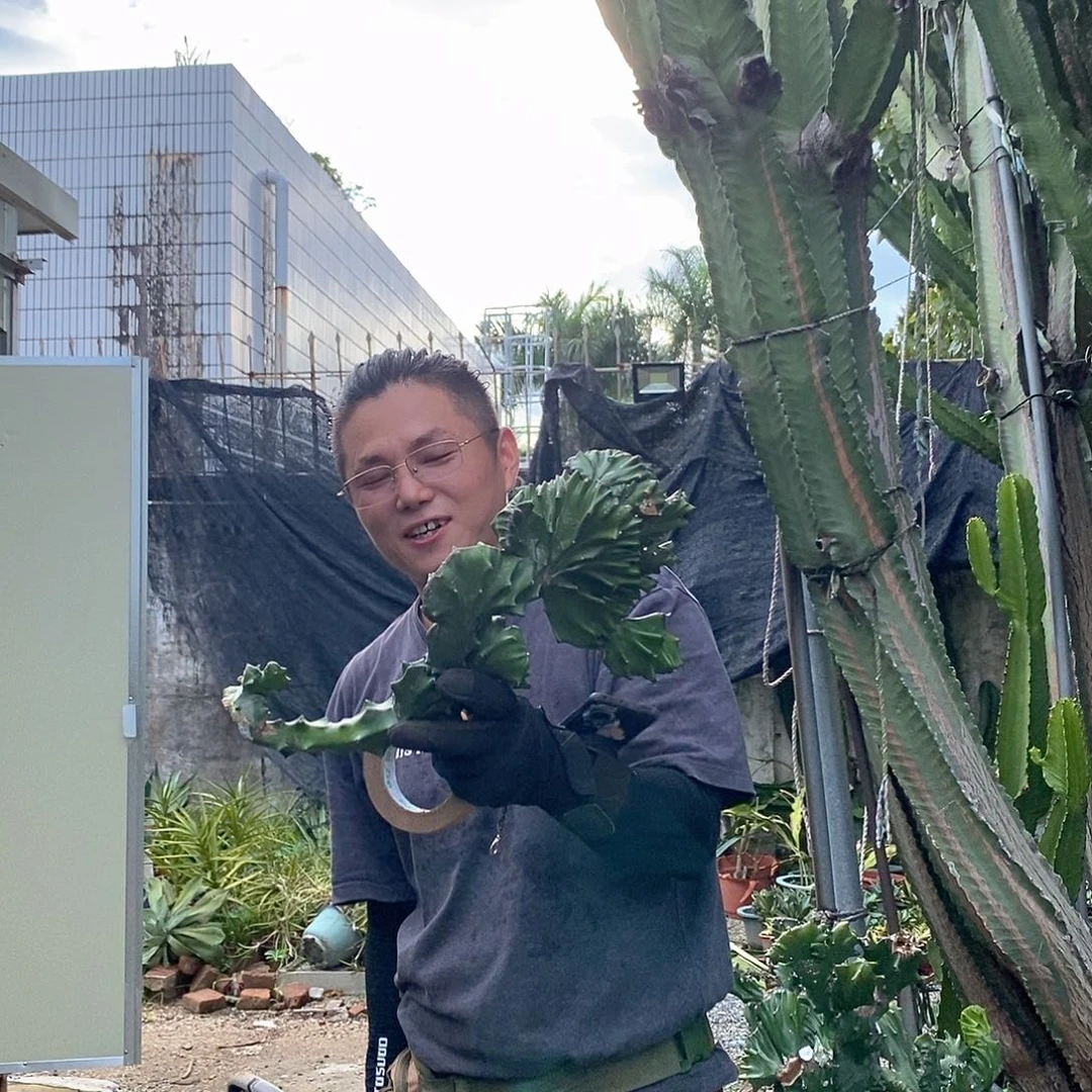 养***开4号玉麒麟。