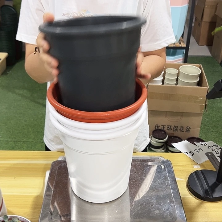 翻边口21高22混色无托4只