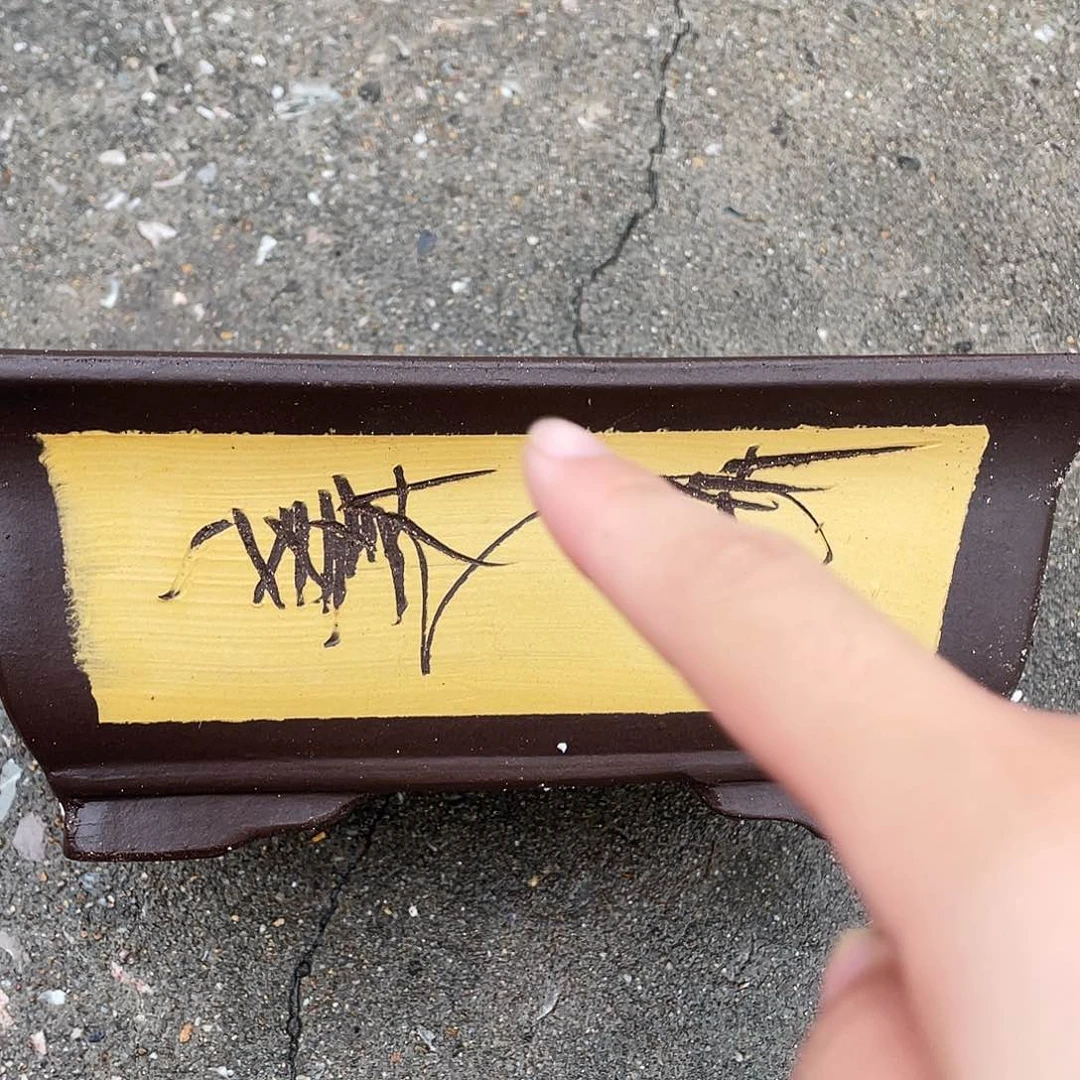 32黄马槽花盆花盆花盆花盆花盆花盆