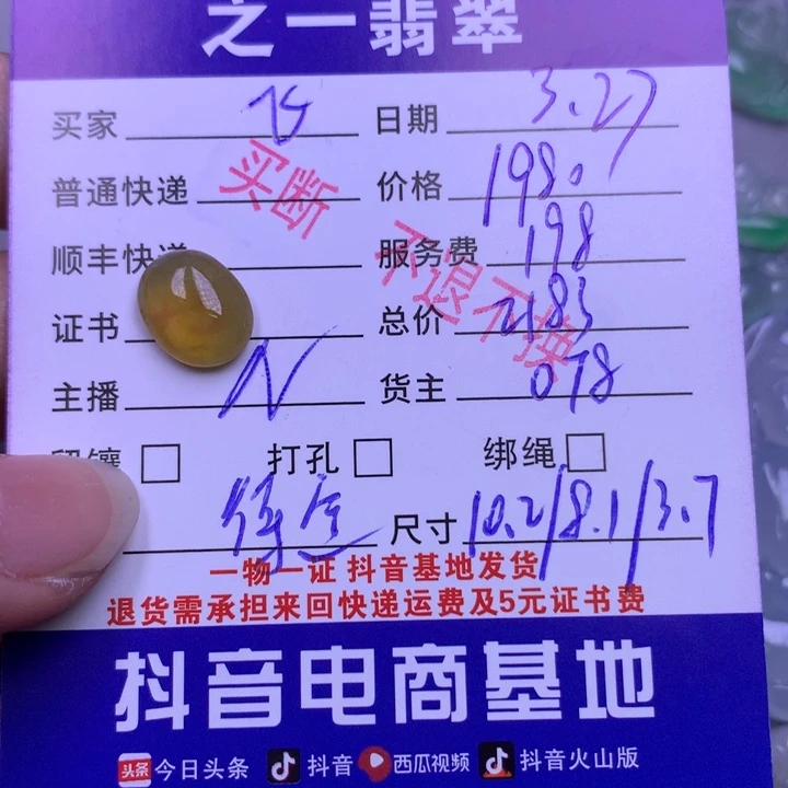 翡翠未镶嵌颈饰飞****