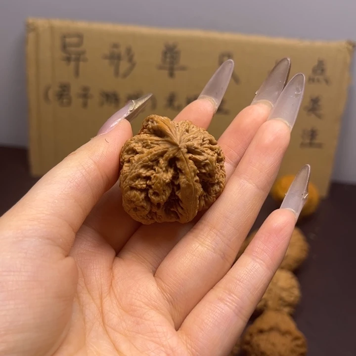 齐***齐菩提籽类雕单只异型