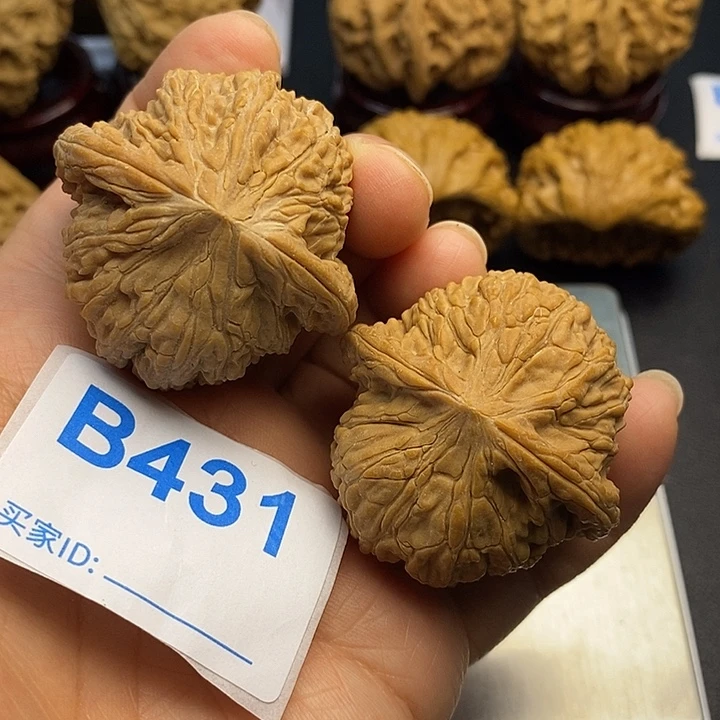 核桃绣球4.3，爆肉