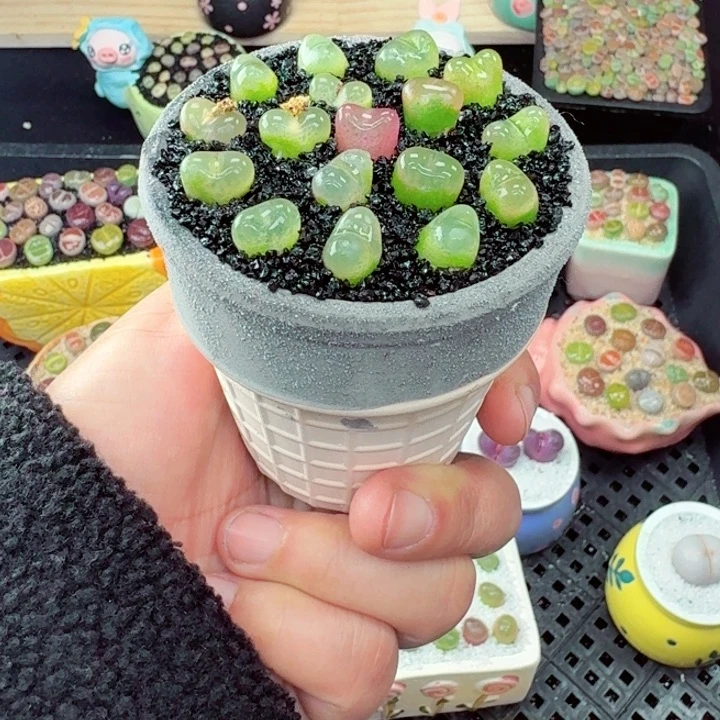 555零下地区记得拍保温箱满18包邮