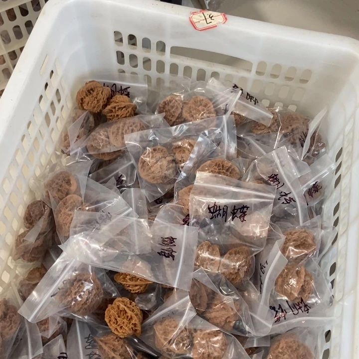 吊坠文玩核桃蝴蝶红瑕疵