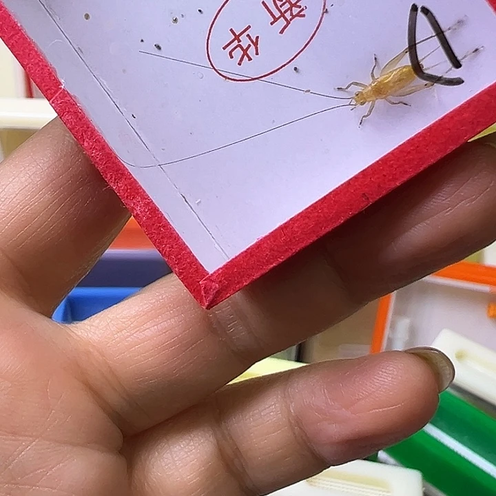 开***速哈哈哈哈哈哈哈哈哈哈哈哈