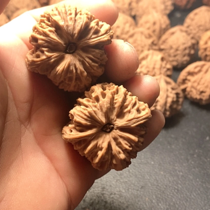 【闪购商品】普*南疆