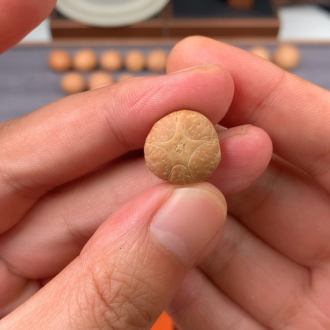 手串凤眼菩提15+五星，非质量问题开孔不退