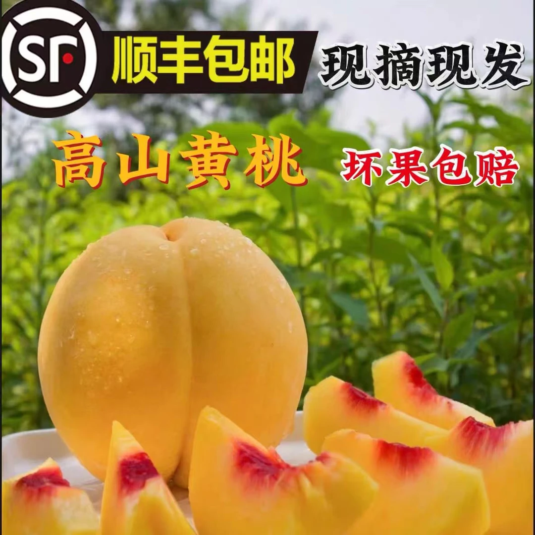 【顺丰】湖南怀化高山黄桃现摘现发新鲜现摘香脆甜多汁安江非麻阳桃