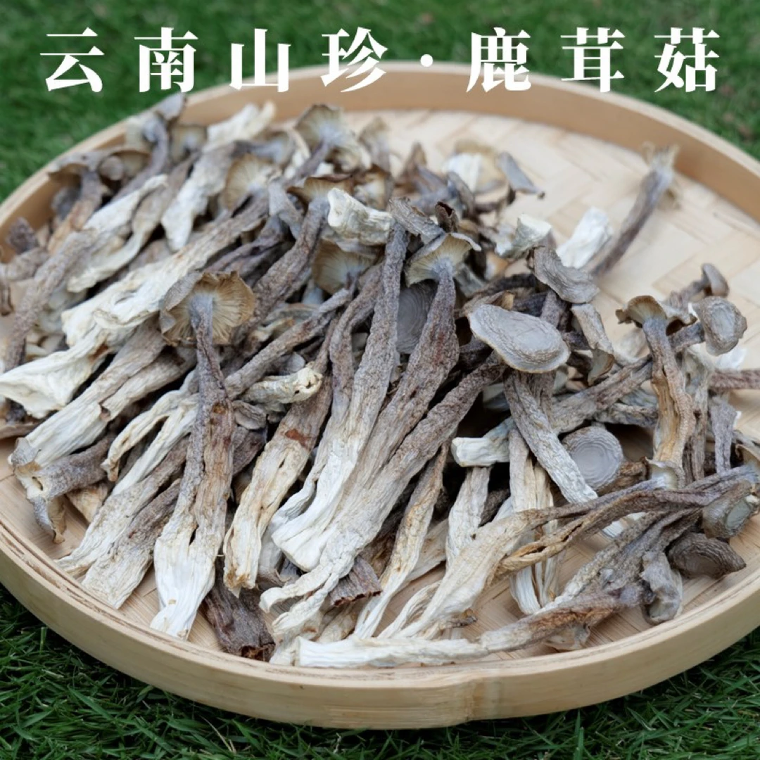 云南腾冲生态无硫鹿茸菇