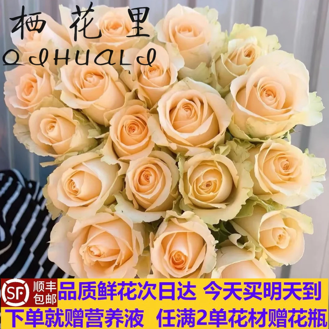 『次日达·蜜桃雪山玫瑰10支』香槟玫瑰 高新鲜直达云南鲜花 今天买 明天顺丰包邮送花上门任意两单花材赠送花瓶