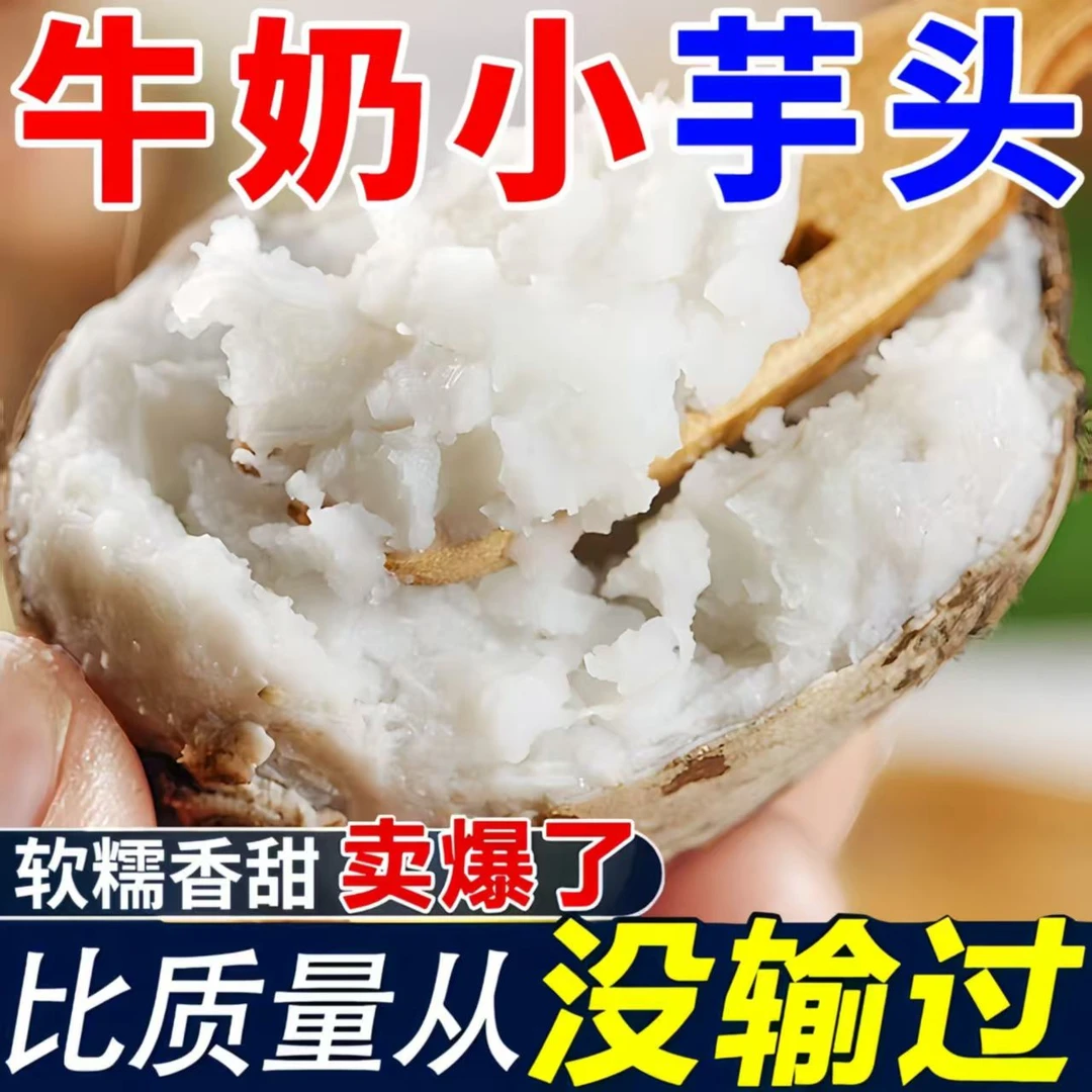 新鲜牛奶小粉软香糯现挖牛奶软糯香甜净1/3/5非芋艿新鲜芋头
