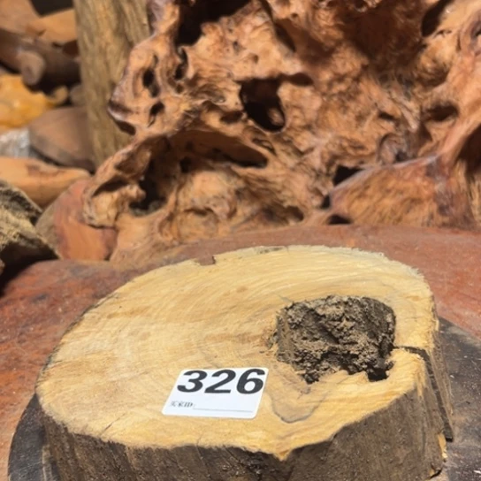 大果紫檀（缅甸花梨）