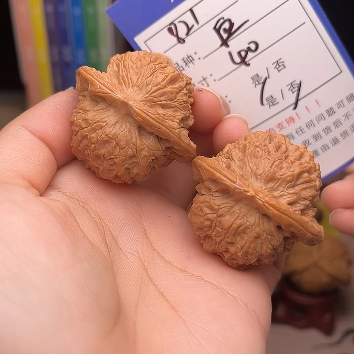 文玩核桃手粘核桃821
