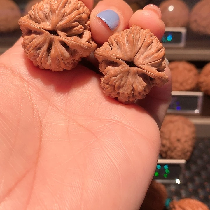 上**海文玩核桃把件野生果