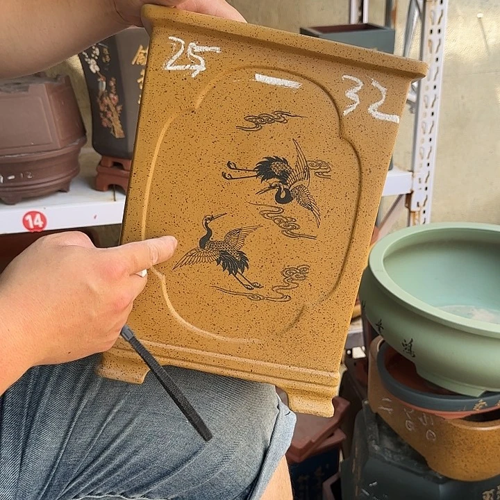 紫砂花盆这是我第一