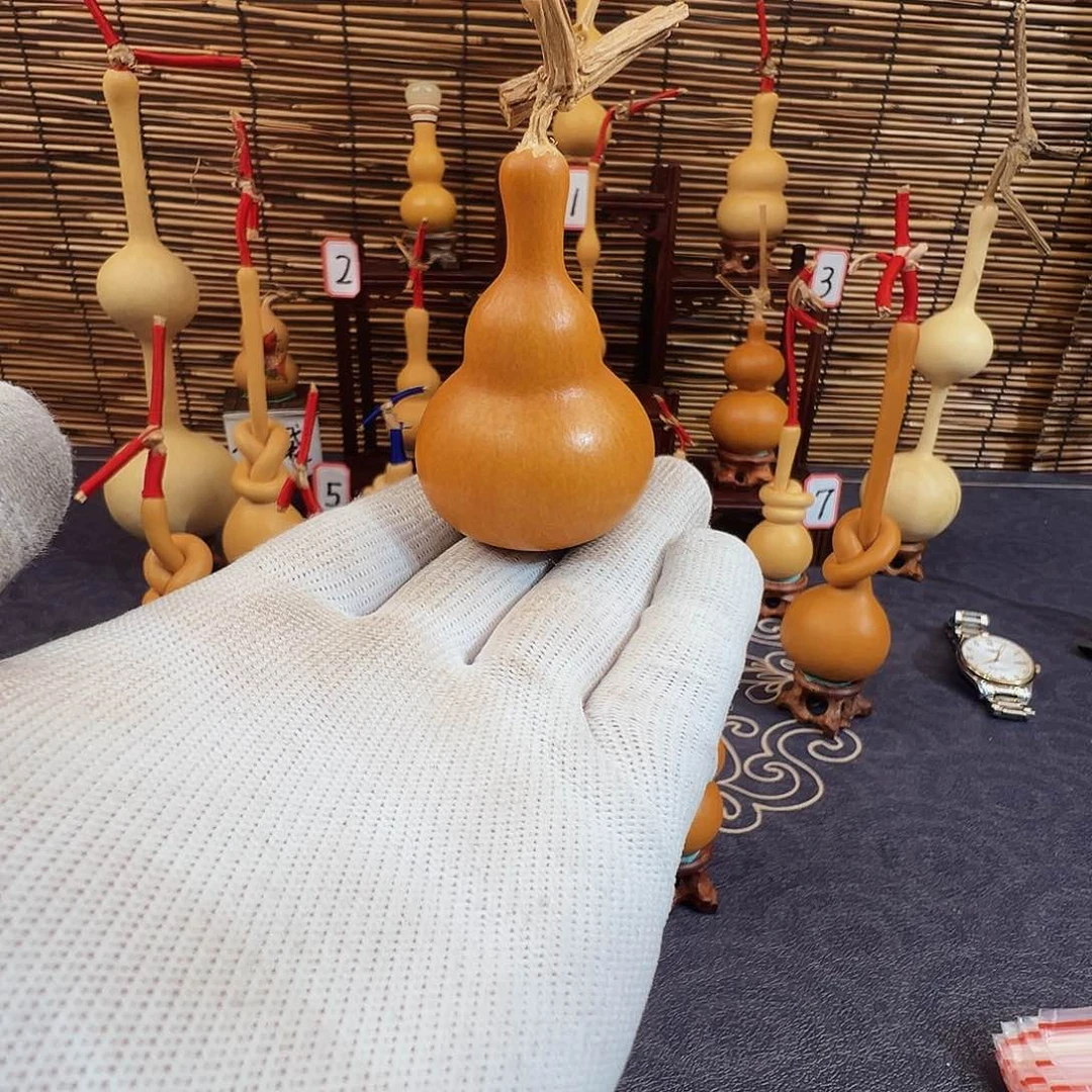 释**己我们的生活也是如此的丰富多彩啊